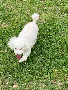 わんダフルネイチャーヴィレッジに投稿された画像（2024/5/10）