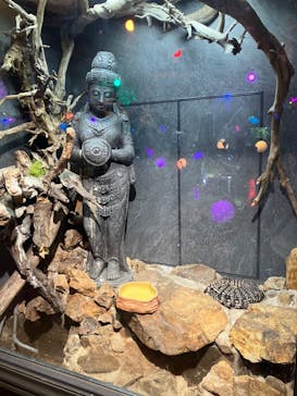 NARA IKIMONO MUSEUMに投稿された画像（2024/5/10）