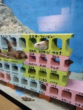 竹島水族館に投稿された画像（2024/5/10）