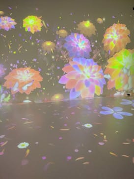 ハピピランド ラグーナ蒲郡に投稿された画像（2024/5/10）