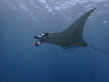 マリンショップtaitaiに投稿された画像（2024/5/10）