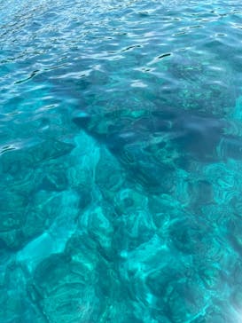 マリンショップtaitaiに投稿された画像（2024/5/10）