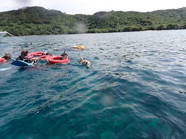 マリンショップtaitaiに投稿された画像（2024/5/10）