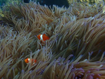 マリンショップtaitaiに投稿された画像（2024/5/10）