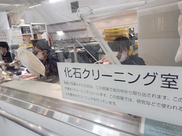 福井県立恐竜博物館に投稿された画像（2024/5/10）