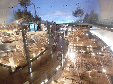 福井県立恐竜博物館に投稿された画像（2024/5/10）