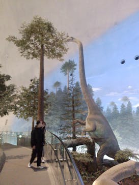 福井県立恐竜博物館に投稿された画像（2024/5/10）