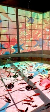 NARA IKIMONO MUSEUMに投稿された画像（2024/5/10）