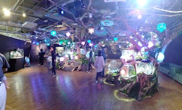 NARA IKIMONO MUSEUMに投稿された画像（2024/5/10）