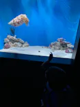 サンシャイン水族館に投稿された画像（2024/5/11）