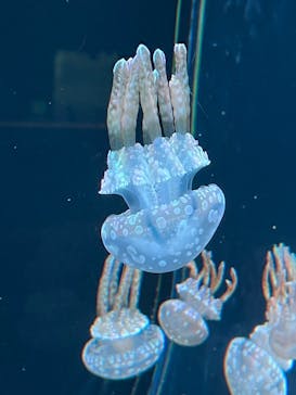 AOAO SAPPOROに投稿された画像（2024/5/10）