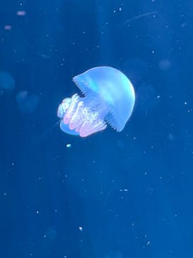 AOAO SAPPOROに投稿された画像（2024/5/10）