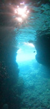 武藤潜水に投稿された画像（2024/5/11）