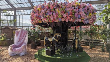 京成バラ園に投稿された画像（2024/5/11）