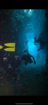 武藤潜水に投稿された画像（2024/5/11）
