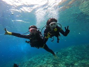 武藤潜水に投稿された画像（2024/5/11）
