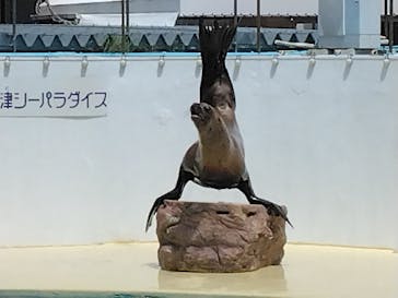 伊豆・三津シーパラダイスに投稿された画像（2024/5/11）