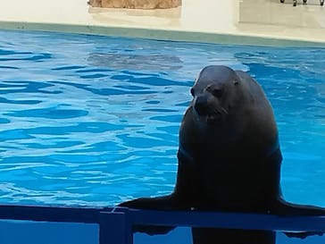 伊豆・三津シーパラダイスに投稿された画像（2024/5/11）