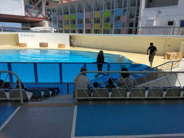 伊豆・三津シーパラダイスに投稿された画像（2024/5/11）