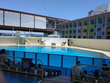 伊豆・三津シーパラダイスに投稿された画像（2024/5/11）