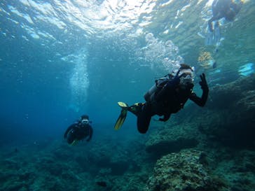 武藤潜水に投稿された画像（2024/5/11）