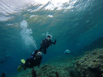 武藤潜水に投稿された画像（2024/5/11）