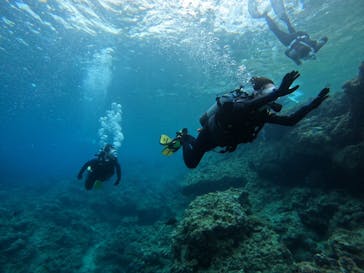 武藤潜水に投稿された画像（2024/5/11）