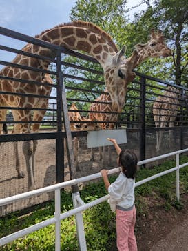 宇都宮動物園に投稿された画像（2024/5/11）