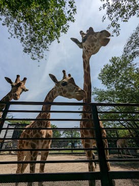 宇都宮動物園に投稿された画像（2024/5/11）