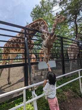 宇都宮動物園に投稿された画像（2024/5/11）