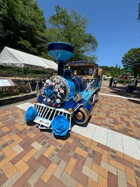 ぎふワールド・ローズガーデンに投稿された画像（2024/5/11）