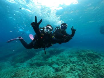 ダイビングショップ　ハイビスカスに投稿された画像（2024/5/11）