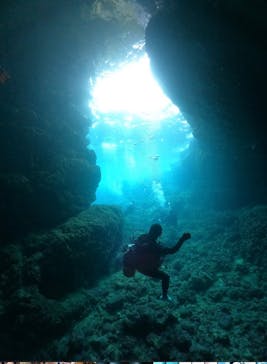 武藤潜水に投稿された画像（2024/5/11）