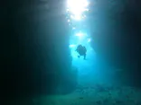 武藤潜水に投稿された画像（2024/5/11）