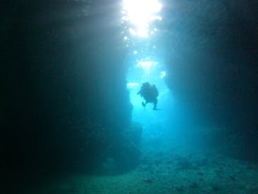 武藤潜水に投稿された画像（2024/5/11）