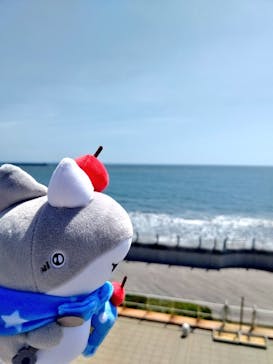 アクアワールド茨城県大洗水族館に投稿された画像（2024/5/11）