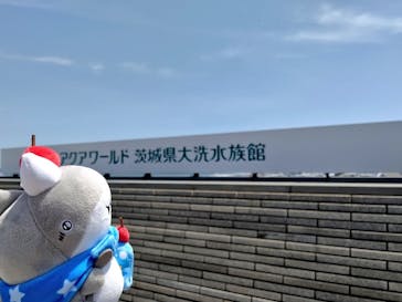 アクアワールド茨城県大洗水族館に投稿された画像（2024/5/11）