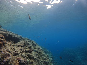 沖縄マリンサービス碧に投稿された画像（2024/5/11）