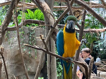 神戸どうぶつ王国に投稿された画像（2024/5/11）