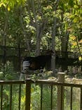 よこはま動物園ズーラシアに投稿された画像（2024/5/11）