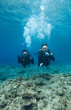 武藤潜水に投稿された画像（2024/5/11）