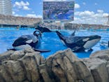 名古屋港水族館に投稿された画像（2024/5/11）