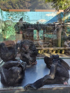 伊豆シャボテン動物公園に投稿された画像（2024/5/11）