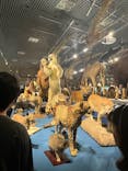 特別展「大哺乳類展３－わけてつなげて大行進」に投稿された画像（2024/5/11）