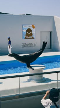 鴨川シーワールドに投稿された画像（2024/5/11）