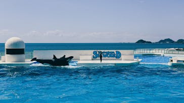 鴨川シーワールドに投稿された画像（2024/5/11）