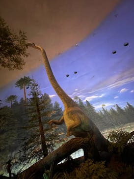 福井県立恐竜博物館に投稿された画像（2024/5/11）