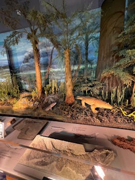 福井県立恐竜博物館に投稿された画像（2024/5/11）