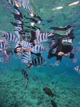 沖縄マリンサービス碧に投稿された画像（2024/5/11）