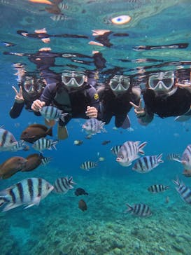 沖縄マリンサービス碧に投稿された画像（2024/5/11）